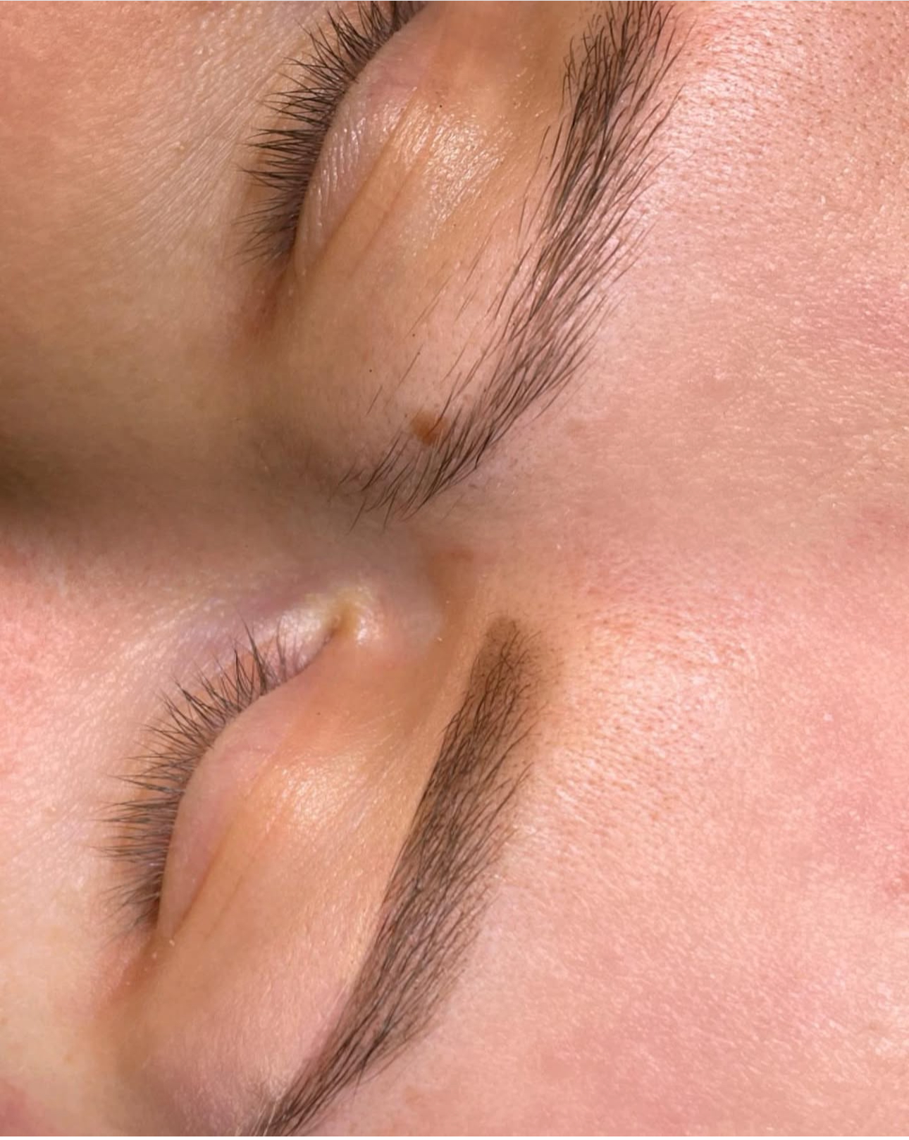 Antakių korekcija (su dažymu)